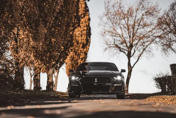 סופרנופה קזינו אפליקציית Android/iOS